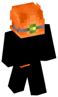Skinfile