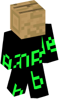 Skinfile