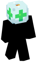 Skinfile