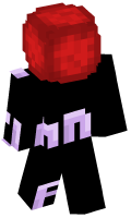 Skinfile
