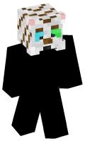 Skinfile