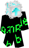 Skinfile