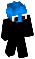 Skinfile