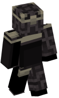Skinfile