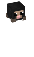 Skinfile