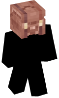 Skinfile