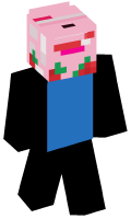 Skinfile