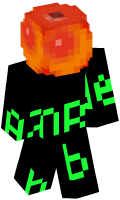 Skinfile