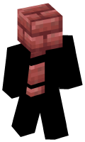Skinfile