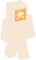 Skinfile
