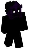Skinfile