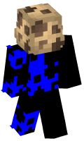 Skinfile