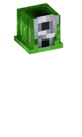 Skinfile
