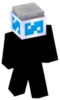 Skinfile