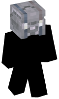 Skinfile