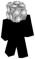 Skinfile