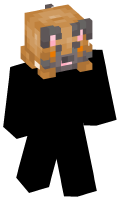 Skinfile