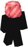 Skinfile