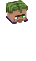 Skinfile