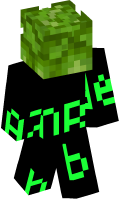 Skinfile