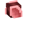 Skinfile