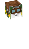 Skinfile