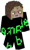 Skinfile