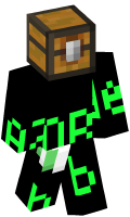 Skinfile