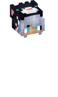 Skinfile