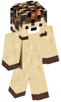 Skinfile