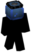 Skinfile