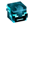 Skinfile
