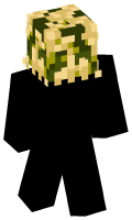 Skinfile