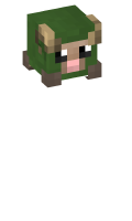 Skinfile
