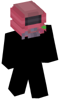 Skinfile