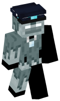 Skinfile
