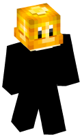 Skinfile