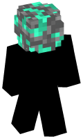 Skinfile