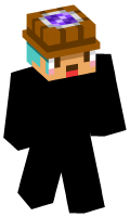 Skinfile