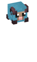 Skinfile
