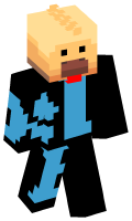 Skinfile