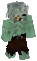 Skinfile