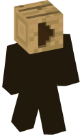 Skinfile