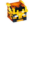 Skinfile
