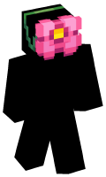 Skinfile