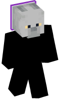 Skinfile