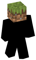 Skinfile