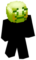 Skinfile