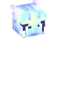 Skinfile