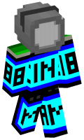 Skinfile